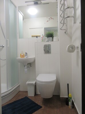 Regadera, amenidades de baño gratuitas, secadora de cabello, toallas 