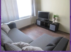 Flat-screen TV