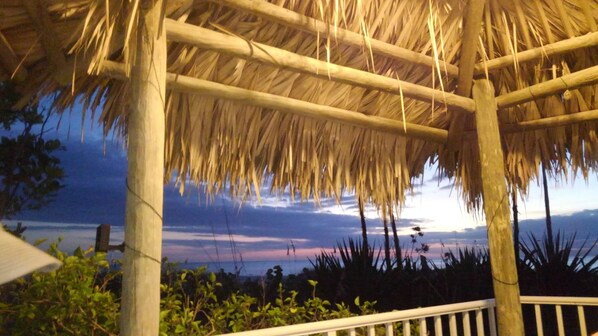 Surrounded by lush vegetation, this charming outdoor shelter offers a serene escape.