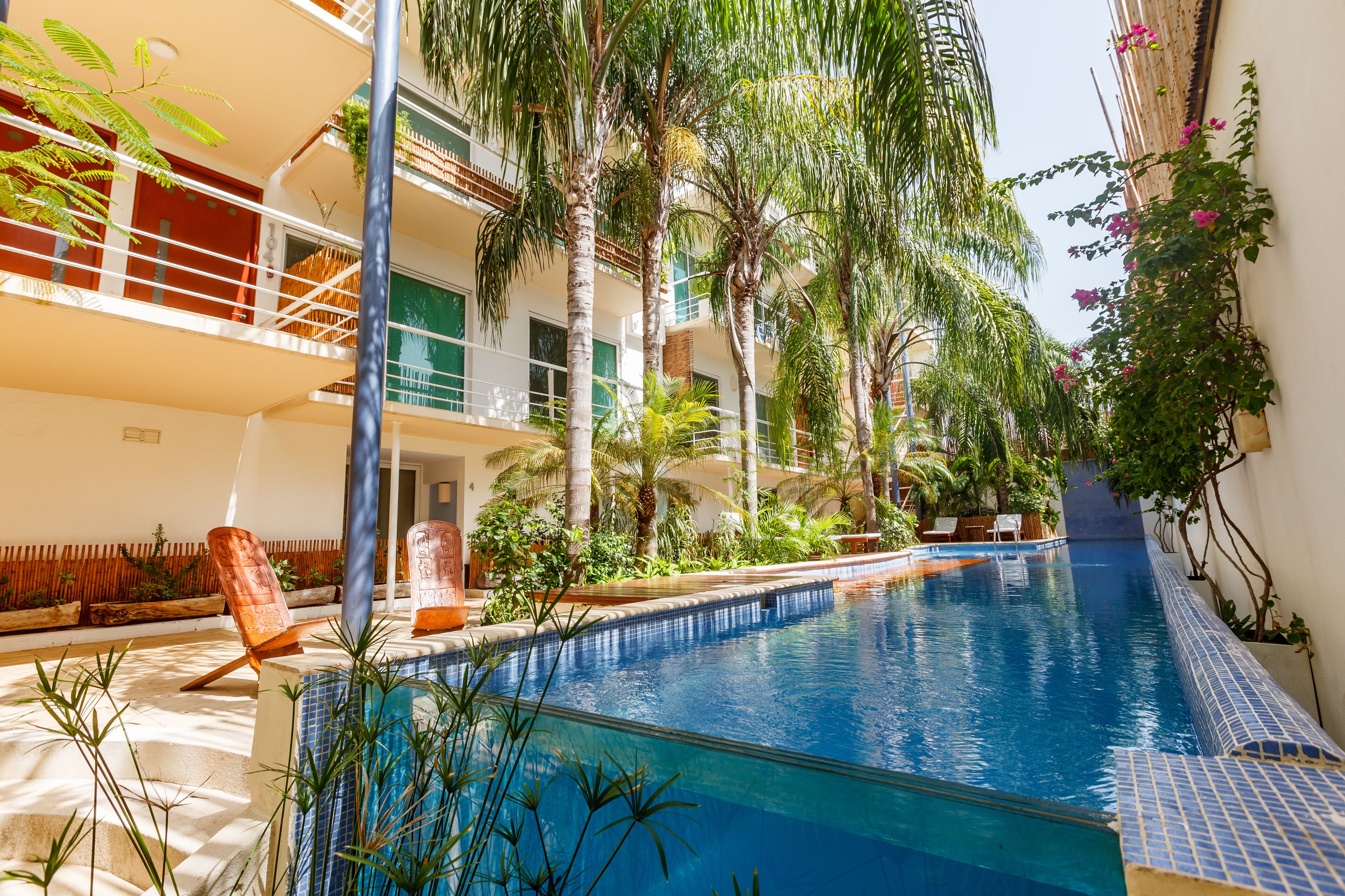 A swimming pool surrounded by palm trees and plants, with a sunlit outdoor seating area.