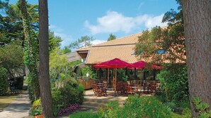 Un patio al aire libre con sombrillas rojas, rodeado de abundante vegetación y árboles.