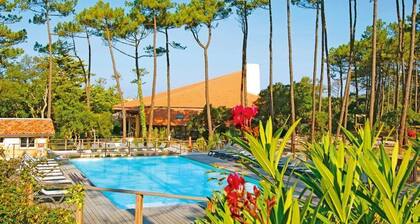 Forêt et Océan | Appartement Abordable!