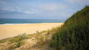 Een strand met duinen en schaarse begroeiing.