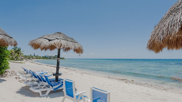 A beach with white lounge chairs and thatched umbrellas.