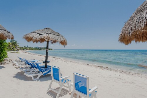 Mit Schildkröten nisten