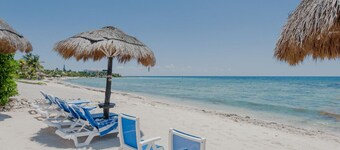 Rede med skildpadder