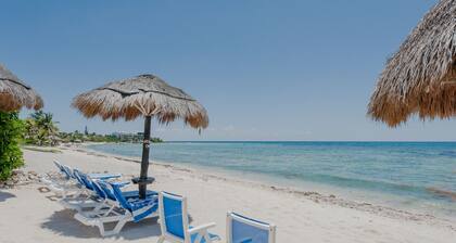 Mit Schildkröten nisten