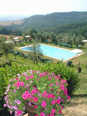Une piscine entourée de chaises longues vertes et de parasols, avec un parterre de fleurs au premier plan.