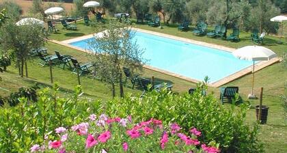 Flat in a winery in Montespertoli,A/C,Wi-Fi,swimming pool,children friendly,sl 5