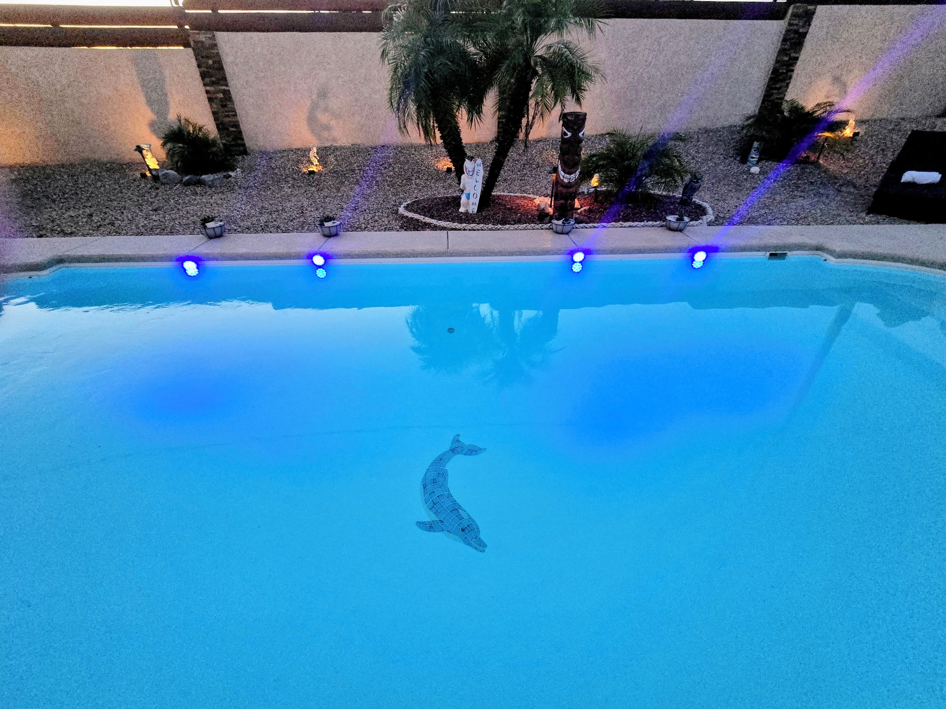 Ein Swimmingpool mit einem Delfin-Motiv, umgeben von einer angelegten Grünfläche mit Palmen und dekorativer Beleuchtung.