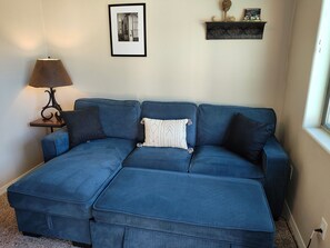 Smart TV, DVD player, books, music library
