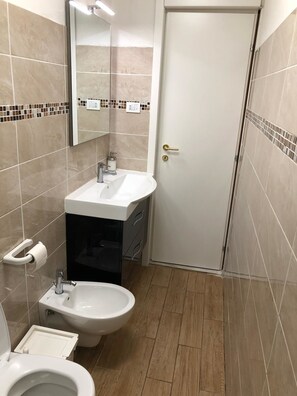 Shower, free toiletries, hair dryer, bidet