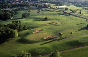 Golf - 2BR 2BA + 3rd BR loft cozy end unit lakefront townhome comfortably sleeps 6! (Galena)