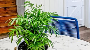 A staircase leading to a landing with a potted plant on the landing.