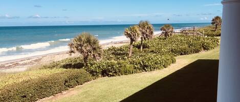 Plage, chaises longues