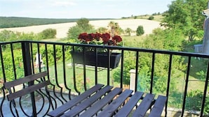 Un balcon avec un banc en bois et un jardinier orné de fleurs rouges.
