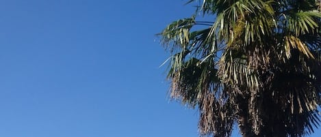 Una piscina con vistas a un paisaje montañoso.