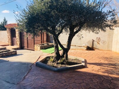 El Olivo Farm