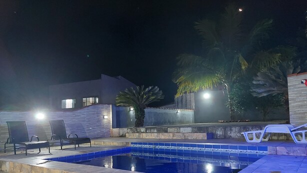 En swimmingpool med stenkant, to liggestole og en palme.