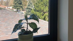 Una ventana con vistas a una cadena montañosa, un estacionamiento y una planta en maceta sobre un alféizar de madera.