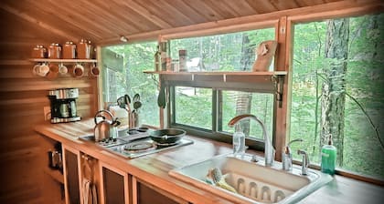 Nanook's Retreat- Pet & Kid Friendly Rustic Cabin w/ AC and WIFI