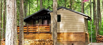 Nanook's Retreat- Cabina rustica per animali domestici e per bambini con AC, WiFi e gioco retrò!