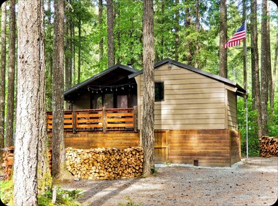 Nanook's Retreat- Pet & Kid Friendly Rustic Cabin w/ AC and WIFI