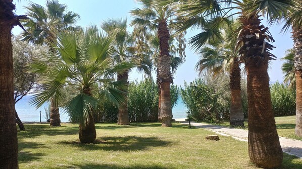 Terrein van de accommodatie