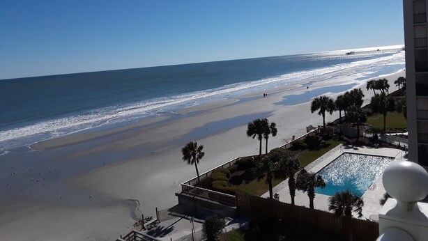 A beach view with a pool and palm trees. - Seawatch 2BR/2BA South Tower Ocean View Condo - Fantastic Resort Myrtle Beach SC (Myrtle Beach)