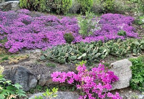 Garden - Hantangang House (Cheorwon)