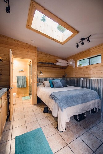 Cozy Custom Studio: Perusleiri olympialaisten kansallispuistoon, Port Angelesiin ja merelle