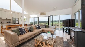 Smart TV, chimenea, reproductor de DVD y libros 