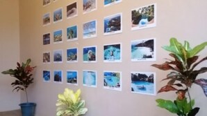 A room with a beige wall adorned with multiple framed photographs, a tiled floor, and three potted plants. - Red Forest Guest House (Coron)