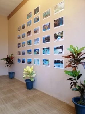 Lobby - Red Forest Guest House (Coron)