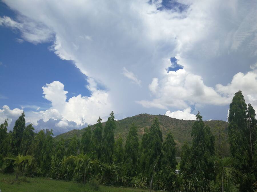 Uma paisagem verdejante e exuberante, com uma colina e um céu azul límpido com nuvens.