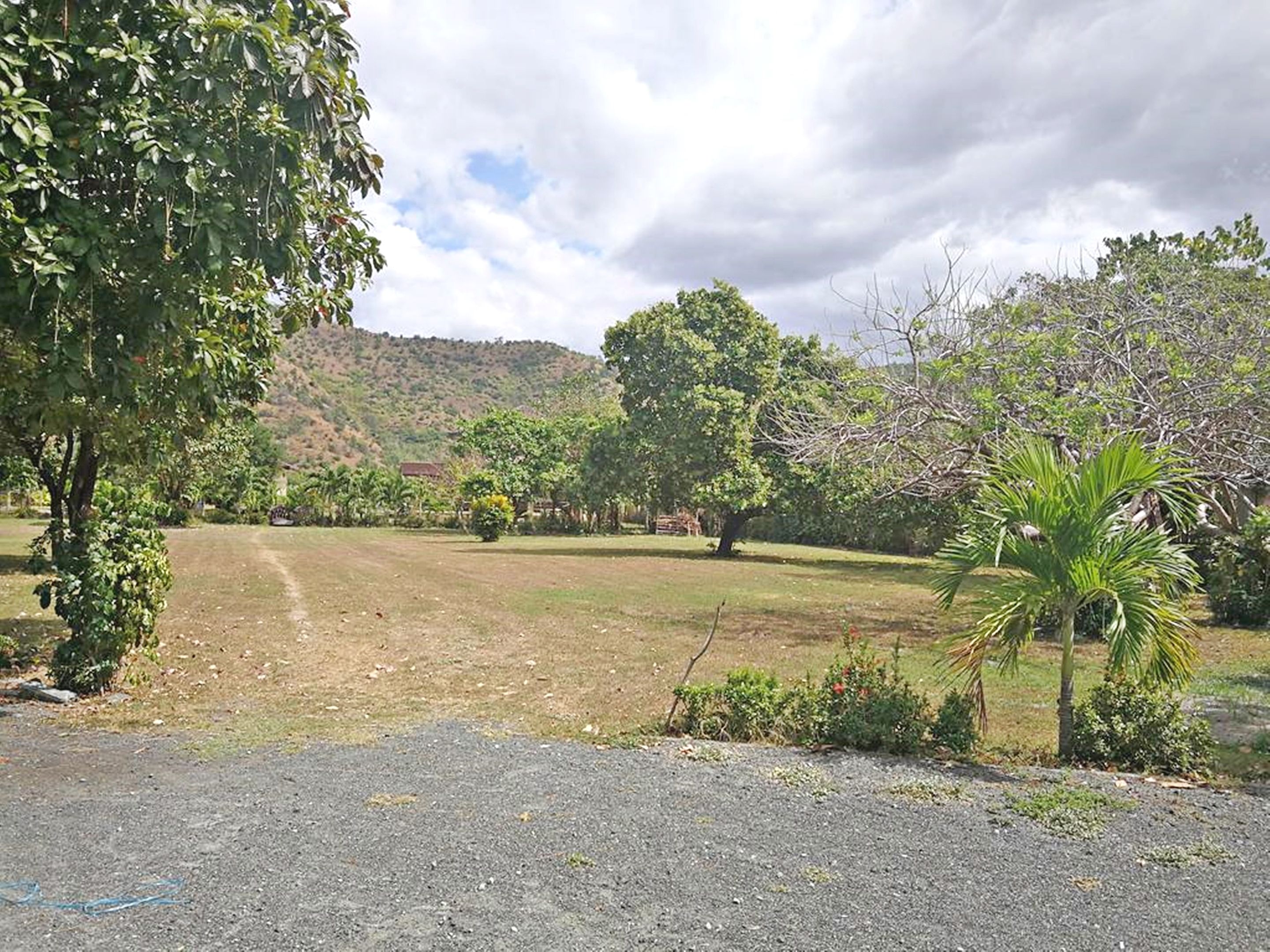 A paved driveway leading to a grassy area with trees and a hill in the background.