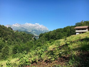 Utsikt från boendet