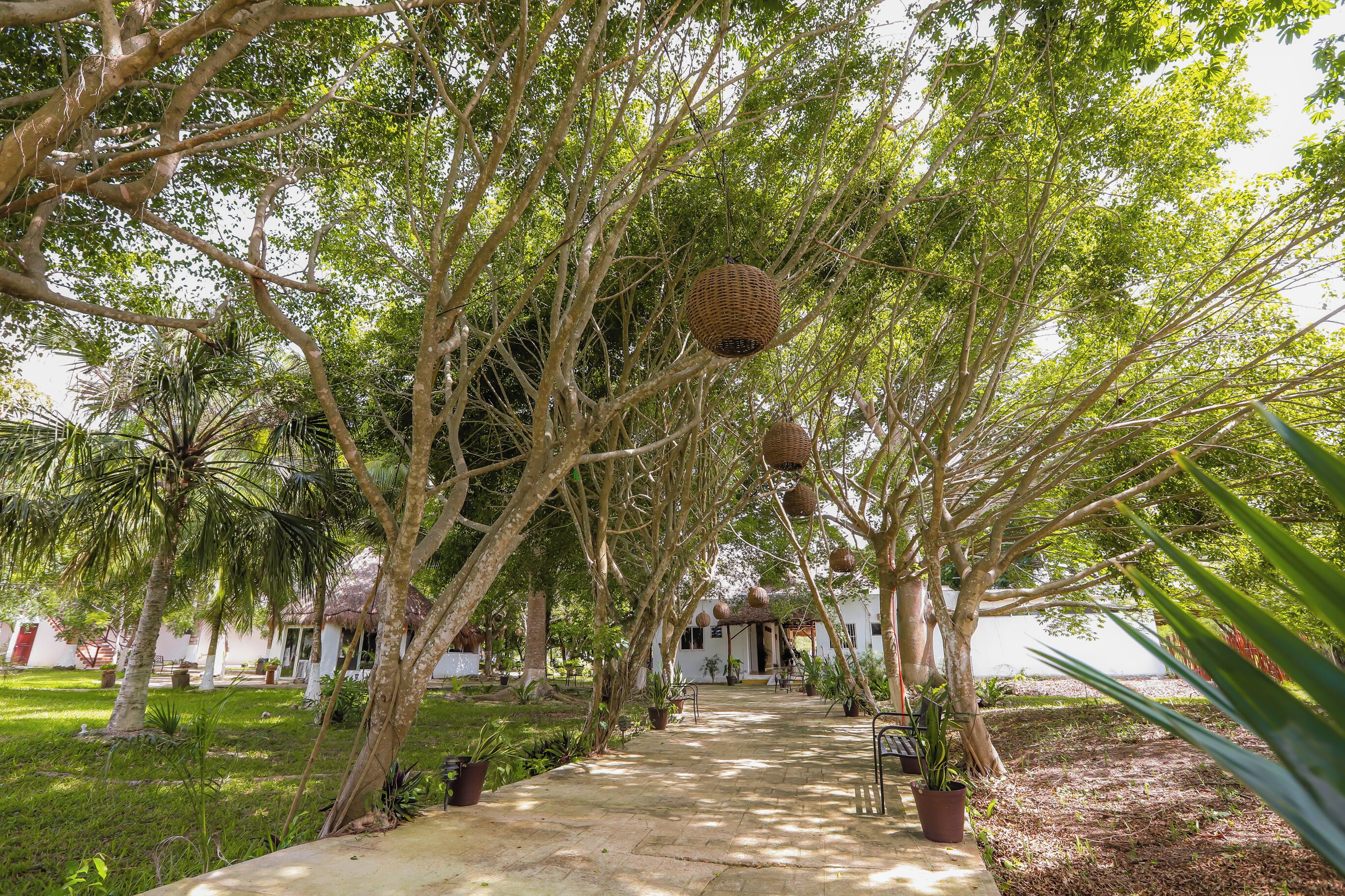 Foto - Mayan Secret Hotel Boutique