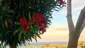 Un jardín con flores rojas y un banco, con vistas a una ciudad costera.