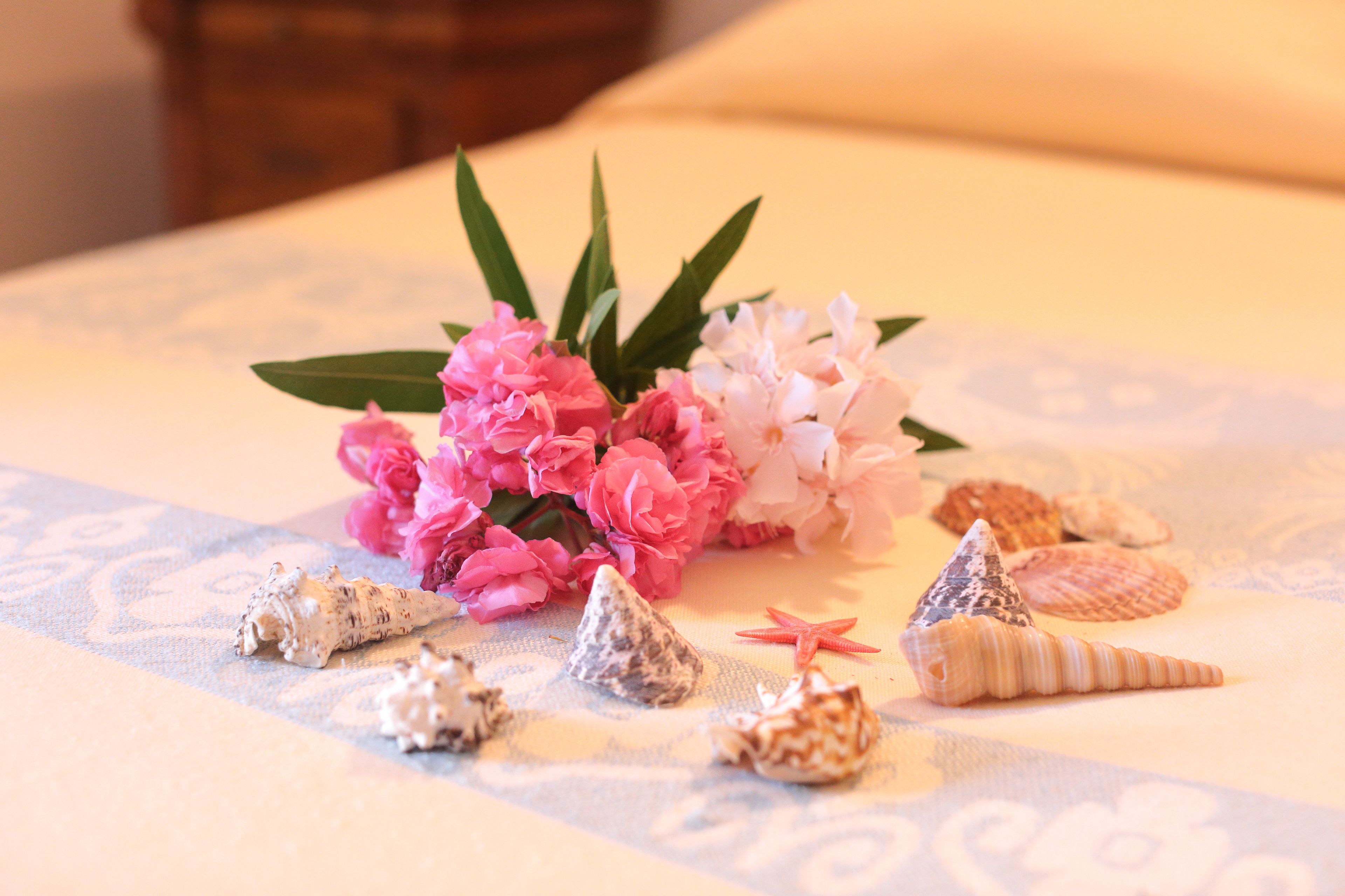 Foto - Hotel Sa Suergia