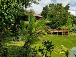 Property grounds - Kingfisher Ecolodge (Pathouphone)