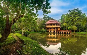 Property grounds - Kingfisher Ecolodge (Pathouphone)