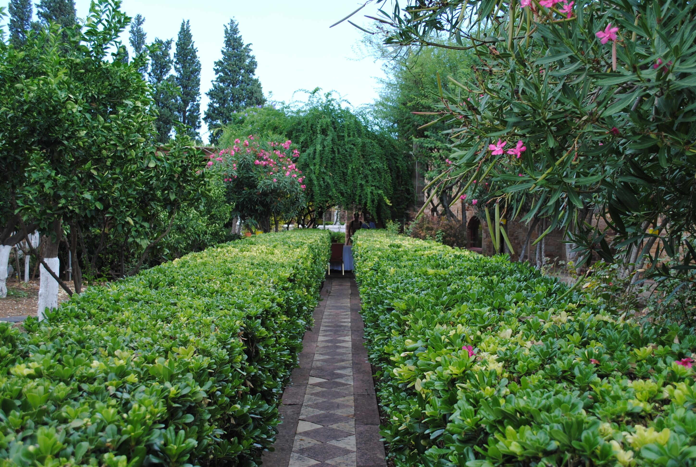 A garden pathway flanked by neatly trimmed hedges and flowering plants, leading to a structure in the distance.