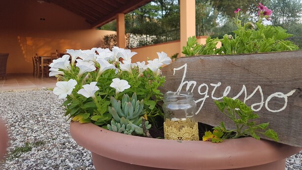A potted plant with a wooden sign reading "ingresso" and a glass jar. - Agriturismo L'Ulivo (Padula)