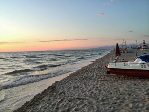 Beach nearby - Albergo e Residence Vittoria (Pisa)