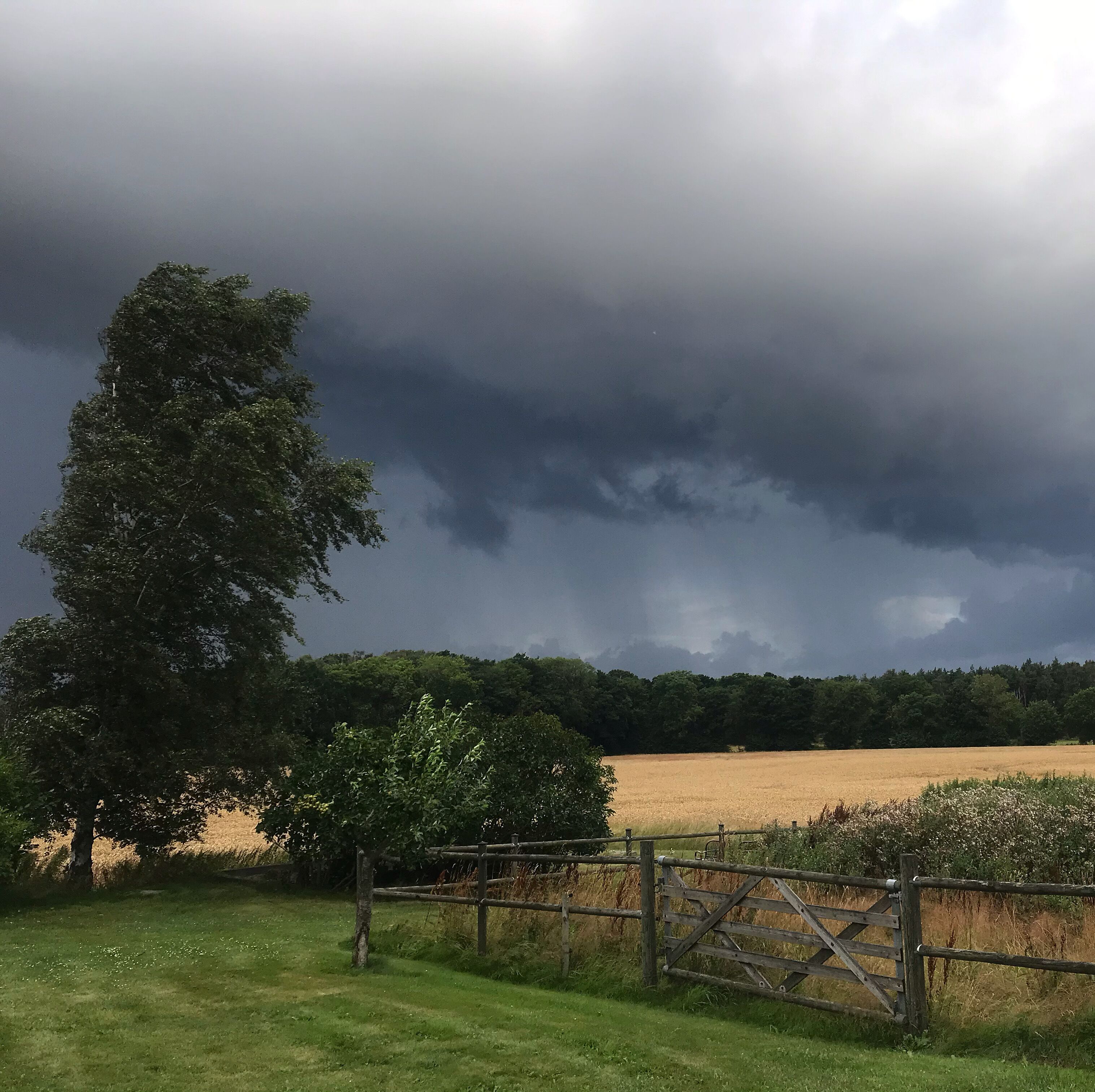 A rural landscape with a wooden gate, a field, and a large tree under a cloudy sky.