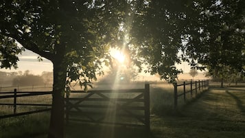 A rural landscape with a wooden fence, trees, and a grassy field.