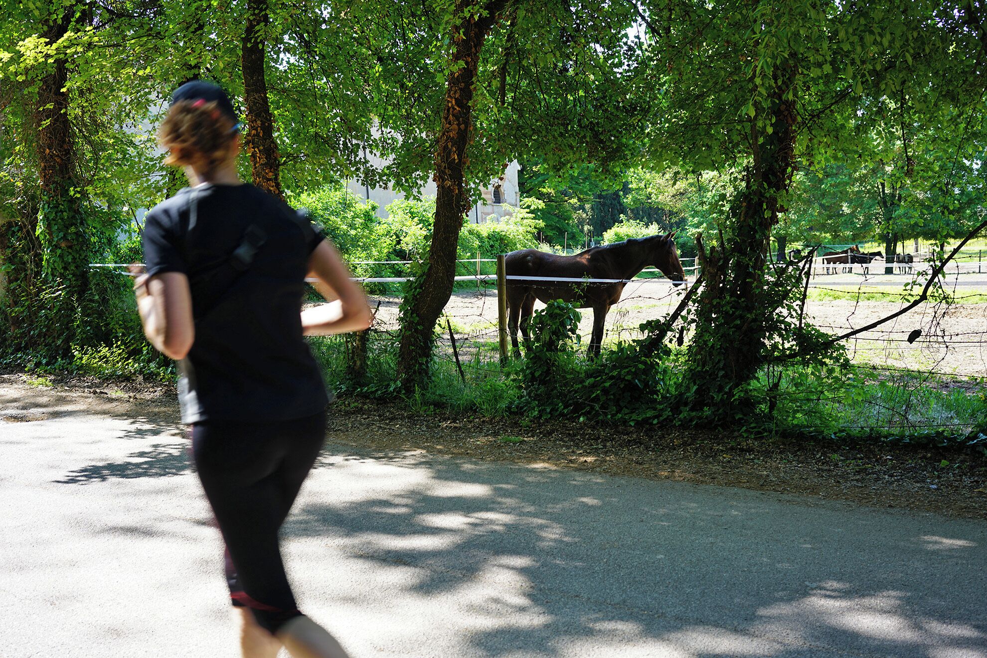 A woman jogging on a paved path with trees and a horse in the background.