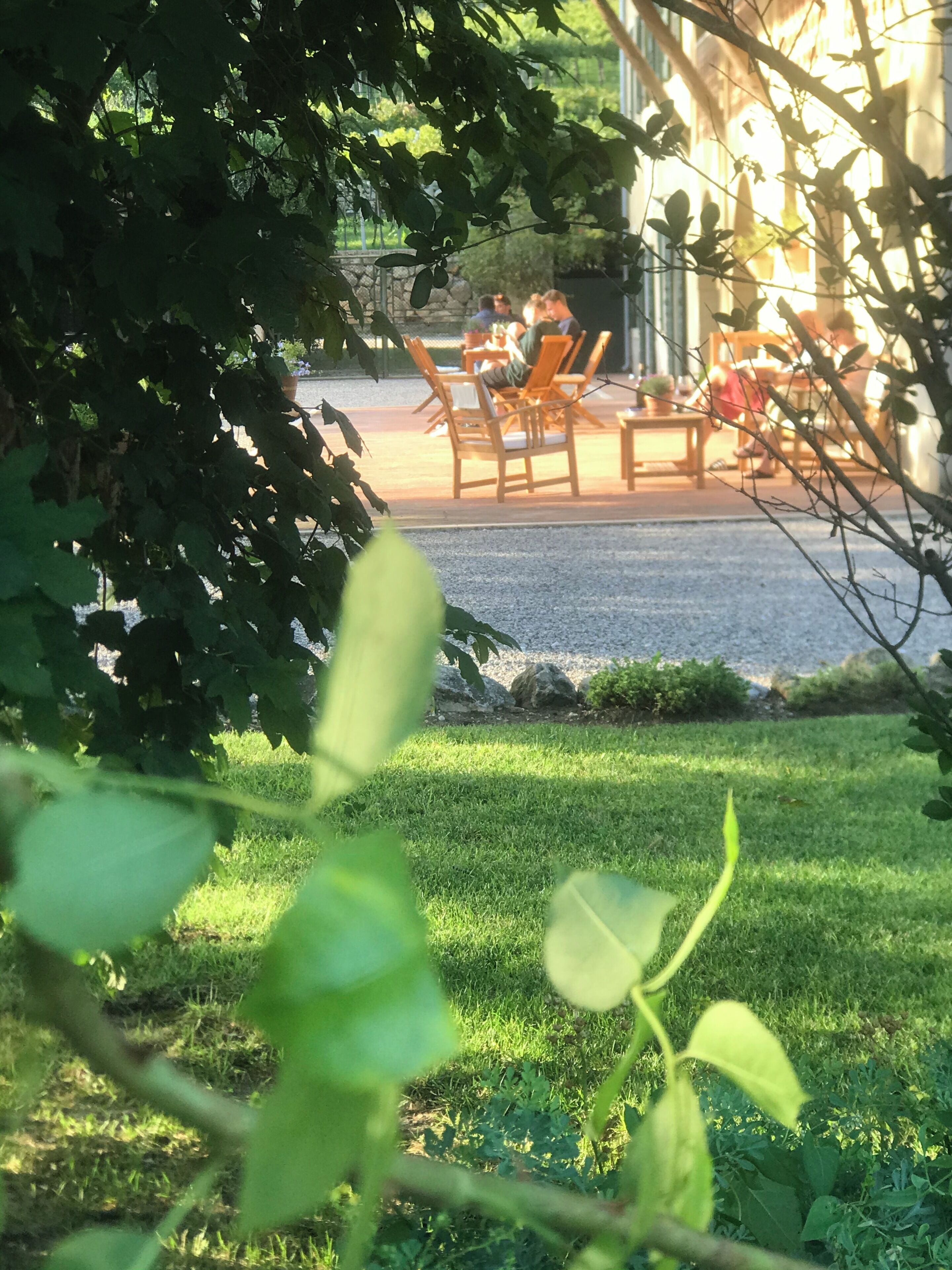 Terraza o patio