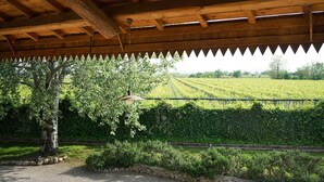A covered outdoor area with a wooden ceiling, a stone wall, and a view of a vineyard. - Domus Cariana (San Pietro in Cariano)